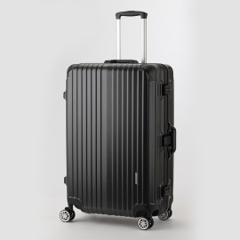 Vali Legend Walker 5516_48/20" S Champagne