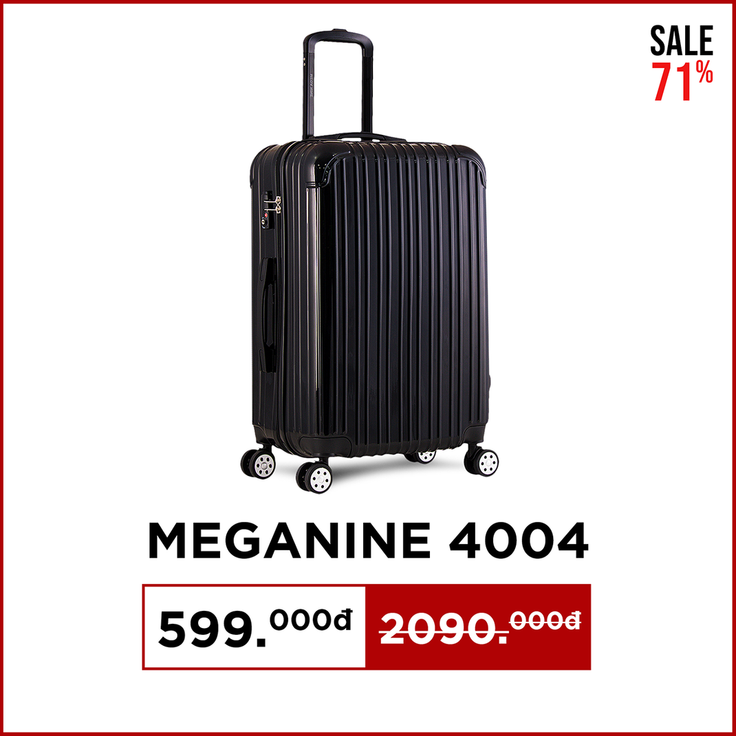 meganine-4004