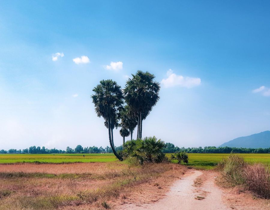 1 ngày ở An Giang và các hoạt động bạn không nên bỏ lỡ 7