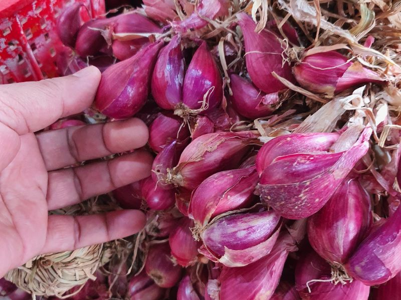 20 đặc sản Lý Sơn 'gây thương nhớ' nên thử và mua làm quà 10