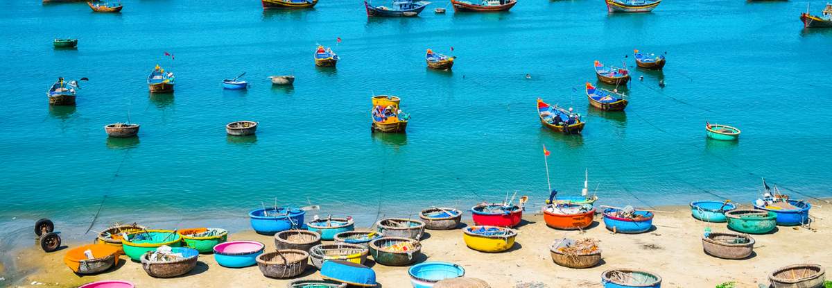3 khu chợ nổi tiếng Phan Thiết, nơi mua hải sản chất lượng nhất phố biển