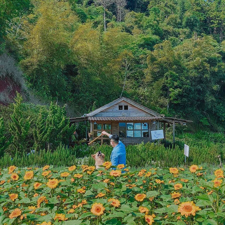 4 điểm check in Đà Lạt mới toanh, hội yêu xê dịch phải lưu lại ngay 9