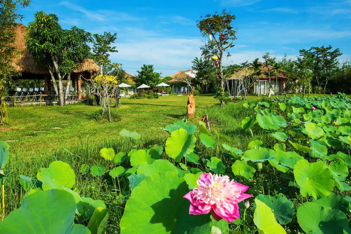 Allamanda Estate Hoi An - Khoảng không gian thiên nhiên thơ mộng và yên bình 24