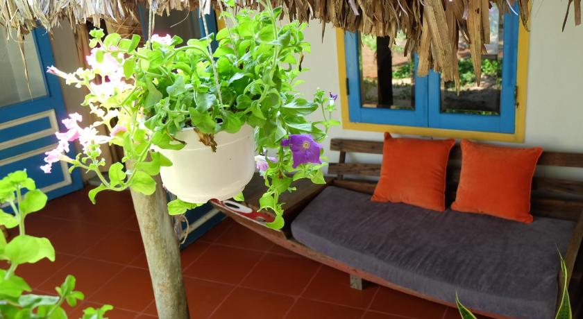 An Bàng Beach Hideaway Homestay - Hòa mình vào không gian tươi mát tại Khách sạn 2 sao Hội An 21