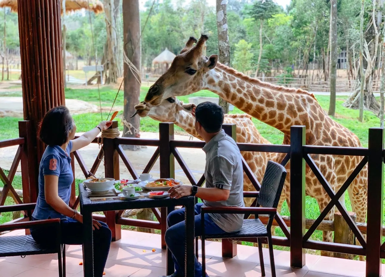 Ăn gì khi đi tham quan khu vườn khú Vinpearl Safari Phú Quốc 7