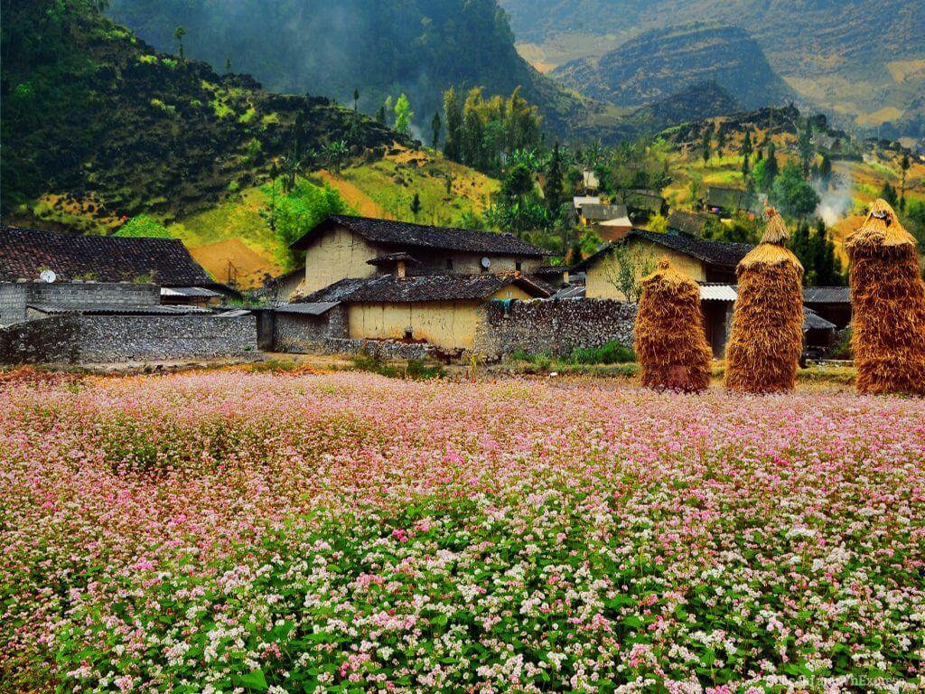 Ấn tượng làng văn hóa du lịch Lũng Cẩm Hà Giang gấm hoa miền cực bắc 5
