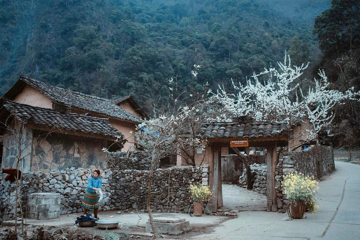 Ấn tượng làng văn hóa du lịch Lũng Cẩm Hà Giang gấm hoa miền cực bắc 6