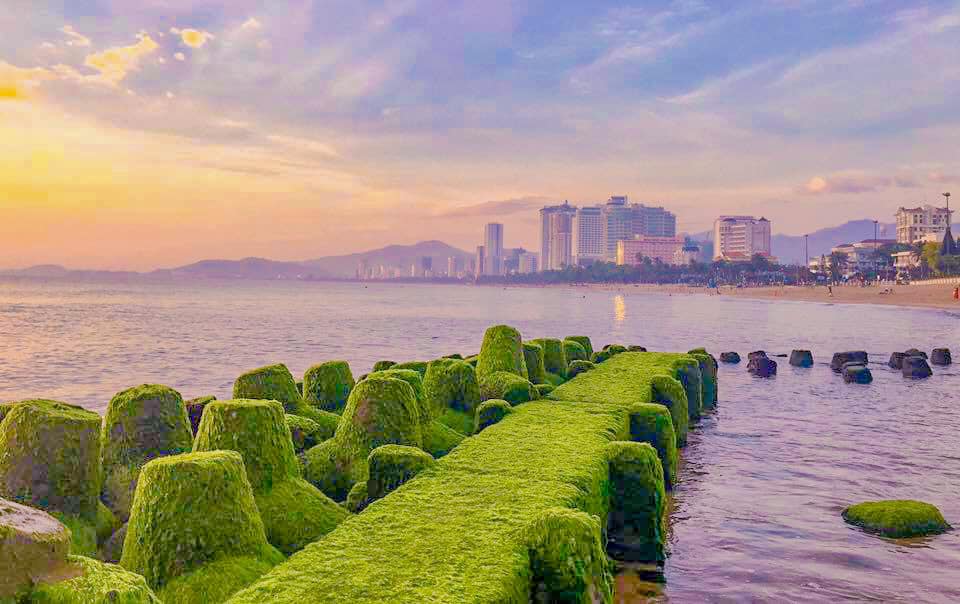 Bãi rêu Nha Trang - Khám phá vẻ đẹp đầy mê hoặc mà thiên nhiên ban tặng 8