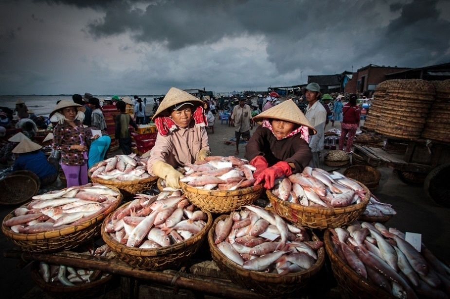 Bài viết này dành cho bạn nào đi đèo Nước Ngọt Vũng Tàu tự túc 7