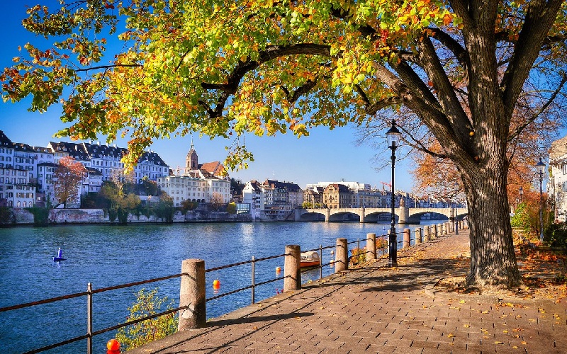 Du lịch Basel: Viên ngọc giao thoa giữa Thụy Sĩ, Đức và Pháp 7