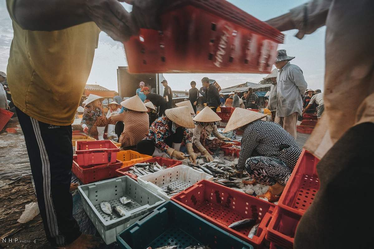 Cảng cá Bà Rịa - Vũng Tàu - Nhịp sống sớm mai tại cảng cá qua ống kính của nhiếp ảnh gia Nguyễn Hoàng Phi 5