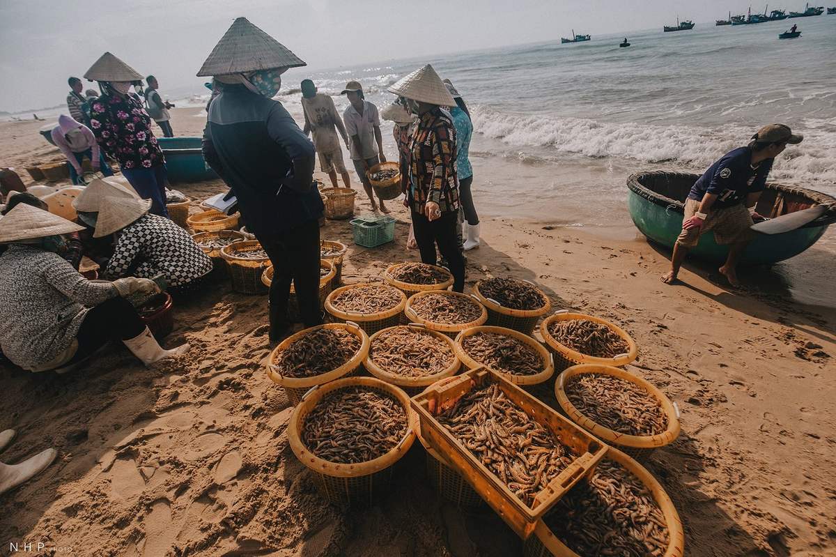 Cảng cá Bà Rịa - Vũng Tàu - Nhịp sống sớm mai tại cảng cá qua ống kính của nhiếp ảnh gia Nguyễn Hoàng Phi 12