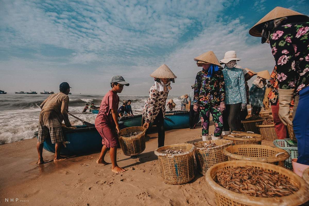 Cảng cá Bà Rịa - Vũng Tàu - Nhịp sống sớm mai tại cảng cá qua ống kính của nhiếp ảnh gia Nguyễn Hoàng Phi 14