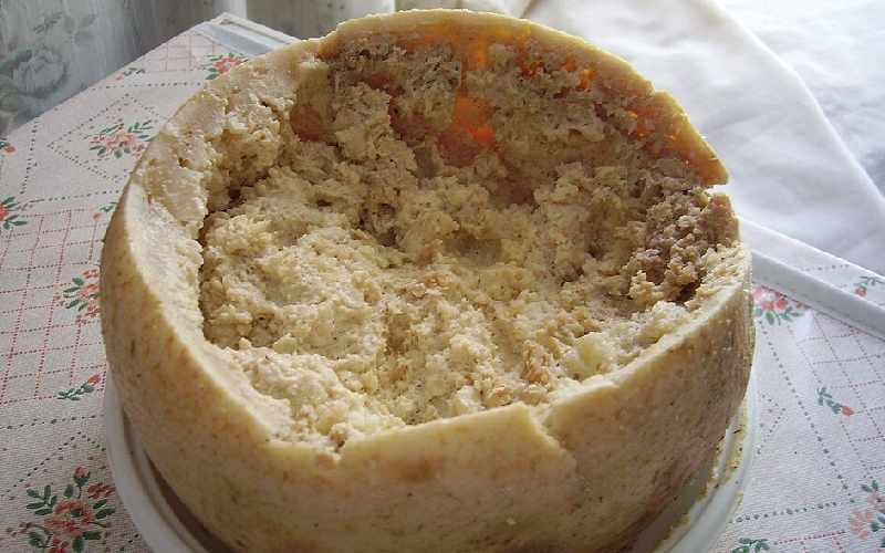 Casu Marzu: Phô mai giòi 'nguy hiểm' nhất thế giới từ Sardinia, Ý 2