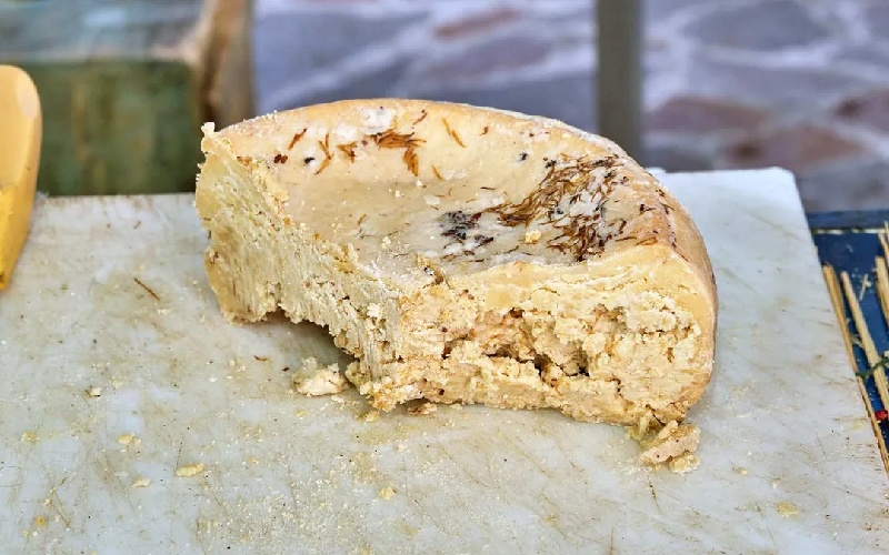 Casu Marzu: Phô mai giòi 'nguy hiểm' nhất thế giới từ Sardinia, Ý 3
