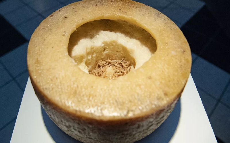 Casu Marzu: Phô mai giòi 'nguy hiểm' nhất thế giới từ Sardinia, Ý 5