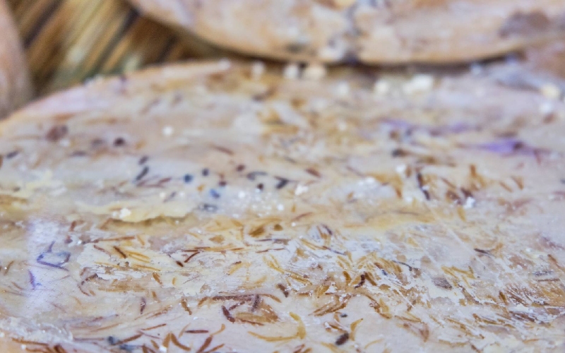 Casu Marzu: Phô mai giòi 'nguy hiểm' nhất thế giới từ Sardinia, Ý 6