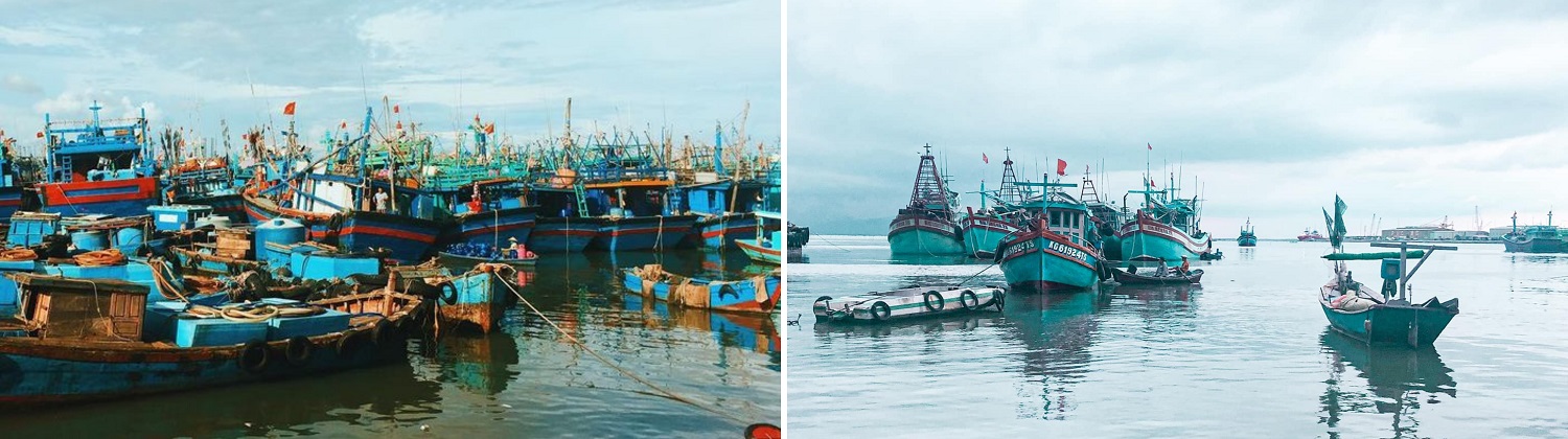 Chợ Bến Đá Vũng Tàu và những trải nghiệm thú vị tại một trong những thiên đường hải sản bậc nhất Vũng Tàu 4