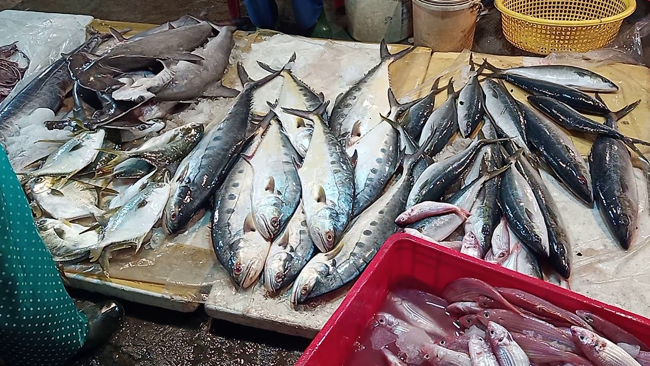 Chợ cá Thanh Hà Hội An - Chợ hải sản tươi sống ngon nhất phố cổ 4