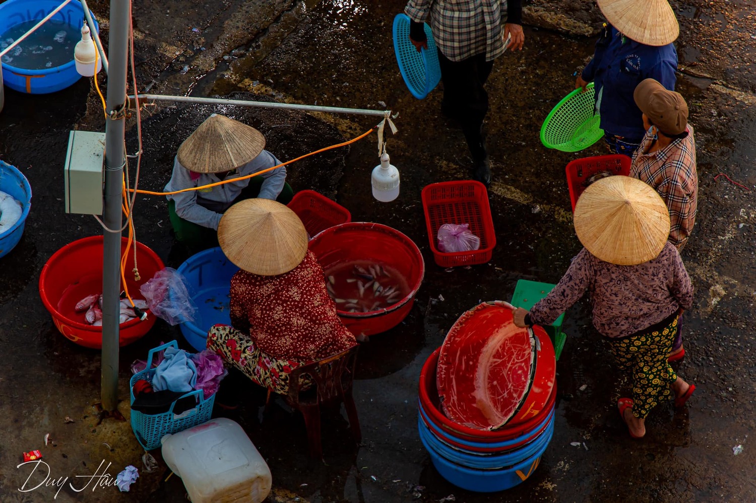 Chợ cá Thanh Hà Hội An - Chợ hải sản tươi sống ngon nhất phố cổ 7