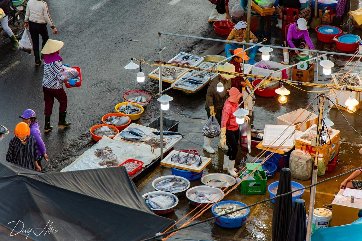 Chợ cá Thanh Hà Hội An - Chợ hải sản tươi sống ngon nhất phố cổ 8