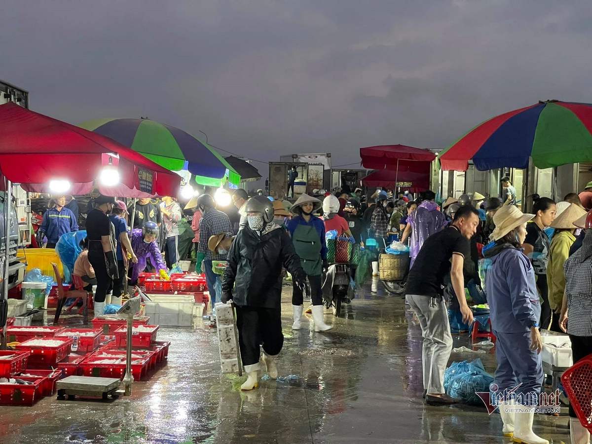 Chợ hải sản Hòn Gai - Chợ đầu mối nổi tiếng thành phố Hạ Long 9