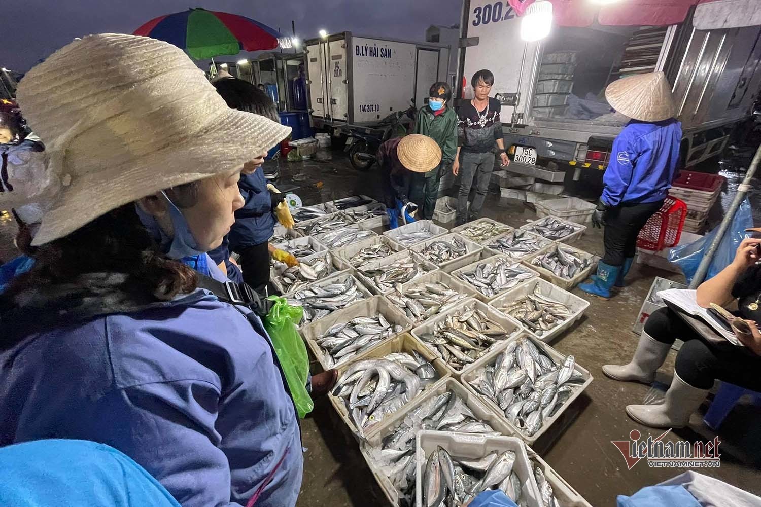 Chợ hải sản Hòn Gai - Chợ đầu mối nổi tiếng thành phố Hạ Long 10