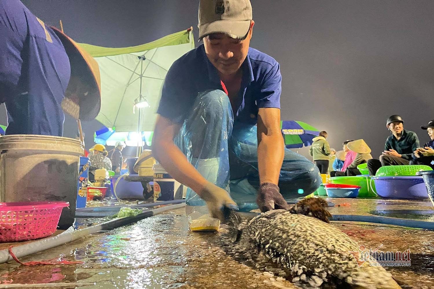 Chợ hải sản Hòn Gai - Chợ đầu mối nổi tiếng thành phố Hạ Long 12