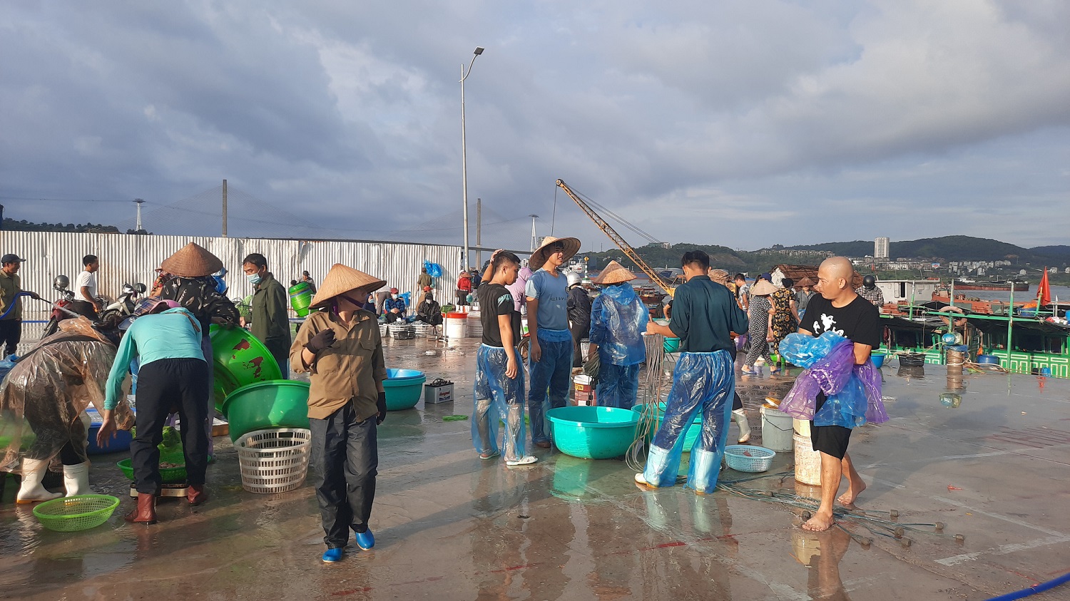 Chợ hải sản Hòn Gai - Chợ đầu mối nổi tiếng thành phố Hạ Long 14