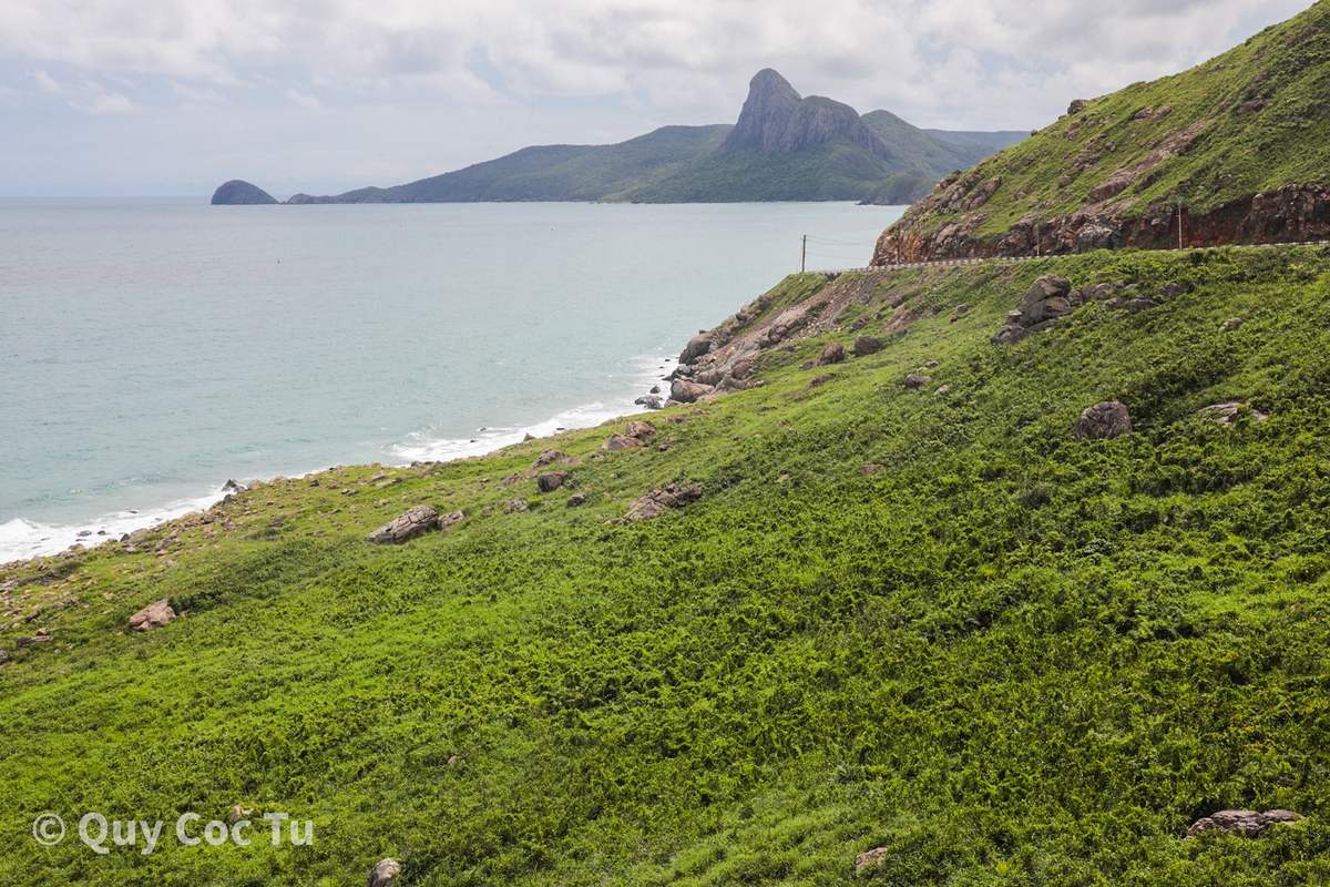 Côn Đảo và những cung đường bình yên đẹp đến lạ thường chạy thẳng vào tim Quỷ Cốc Tử 10