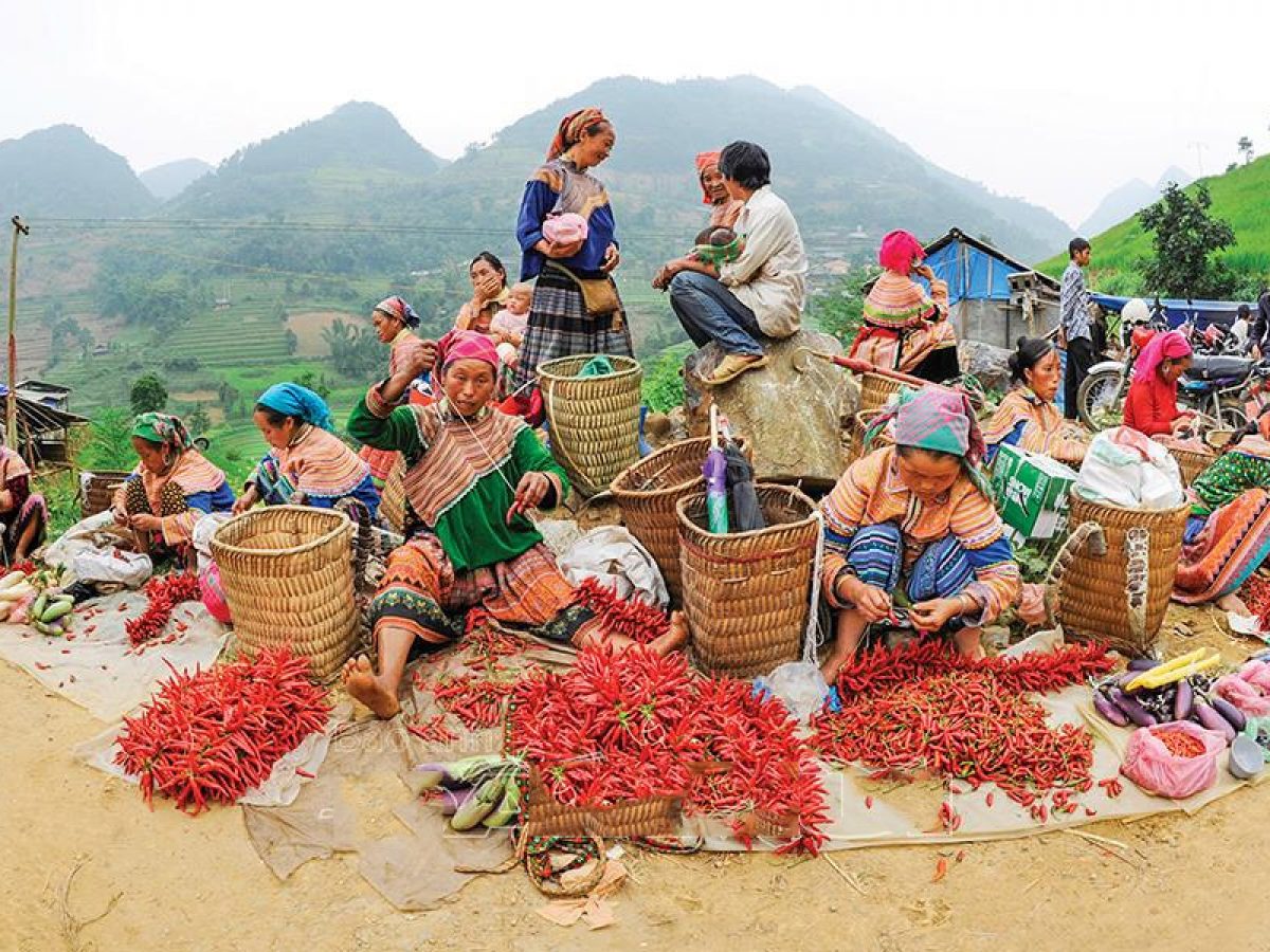 Bí mật Du lịch tại Mộc Châu Vào mùa xuân 5