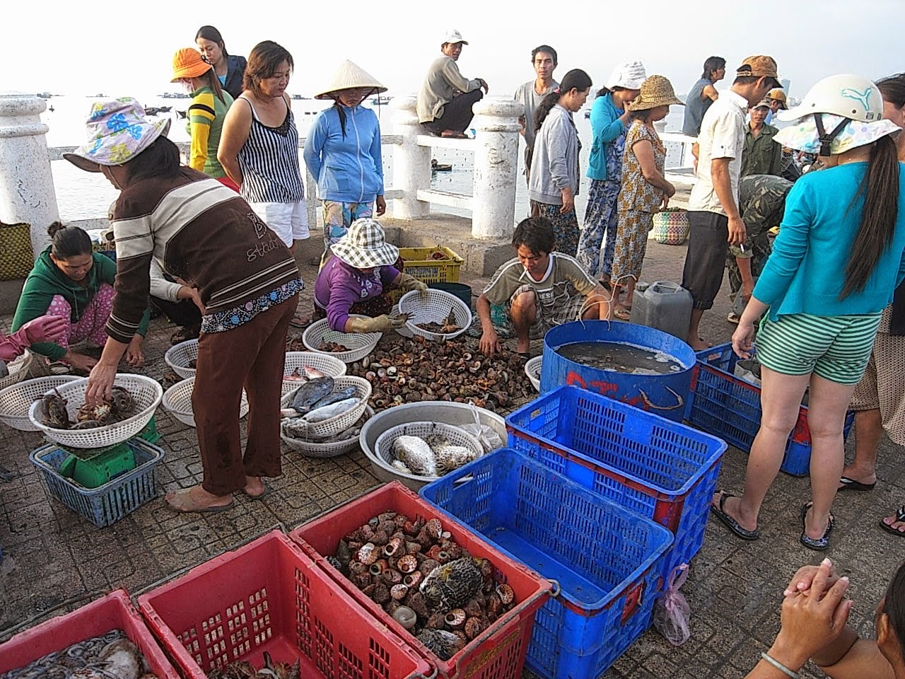 Đừng bỏ qua kinh nghiệm mua hải sản Nha Trang chất lượng 2