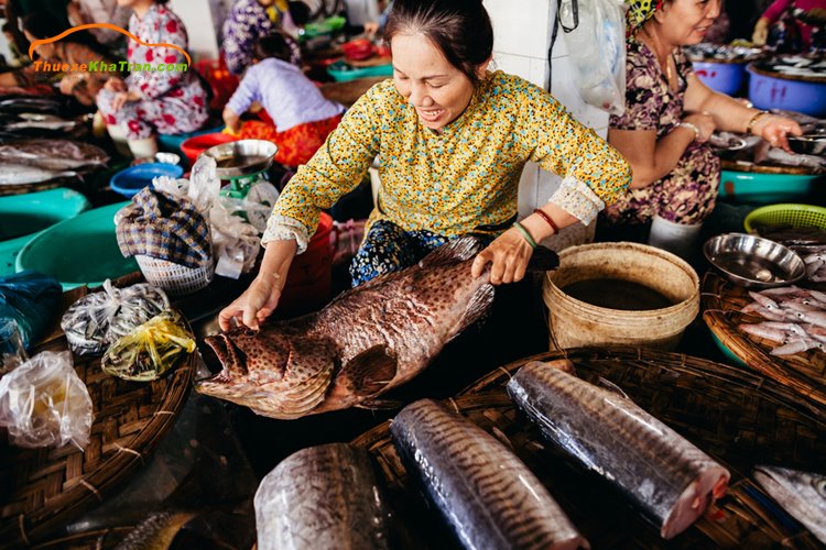 Đừng bỏ qua kinh nghiệm mua hải sản Nha Trang chất lượng 6