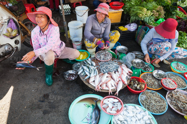 Đừng bỏ qua kinh nghiệm mua hải sản Nha Trang chất lượng 8