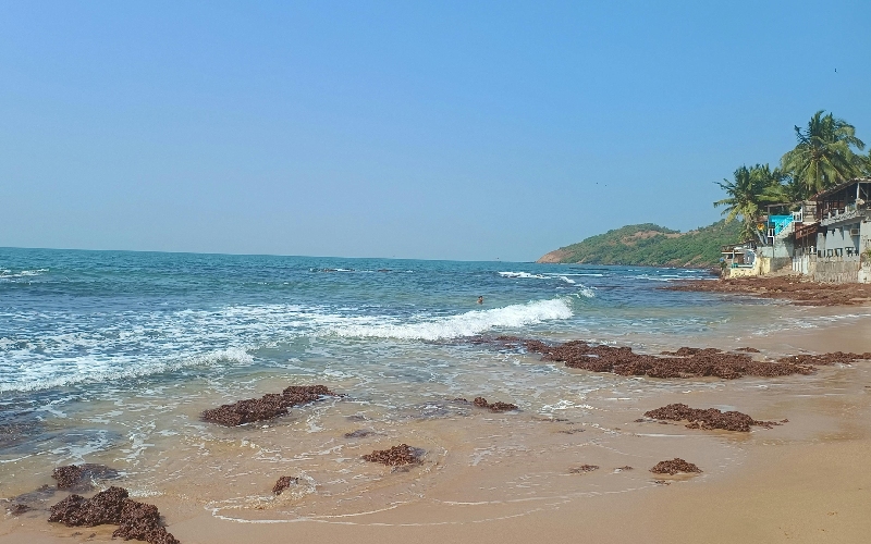 Du lịch Goa: Thiên đường biển và văn hóa tại Ấn Độ 5