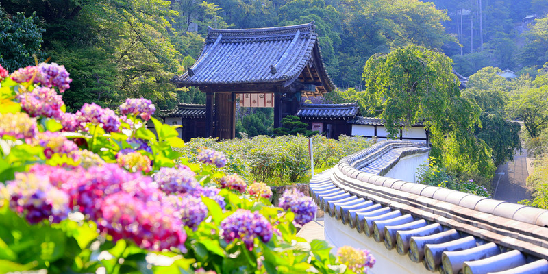 Hasedera, điểm đến tâm linh nổi tiếng bậc nhất tại Kanagawa 2