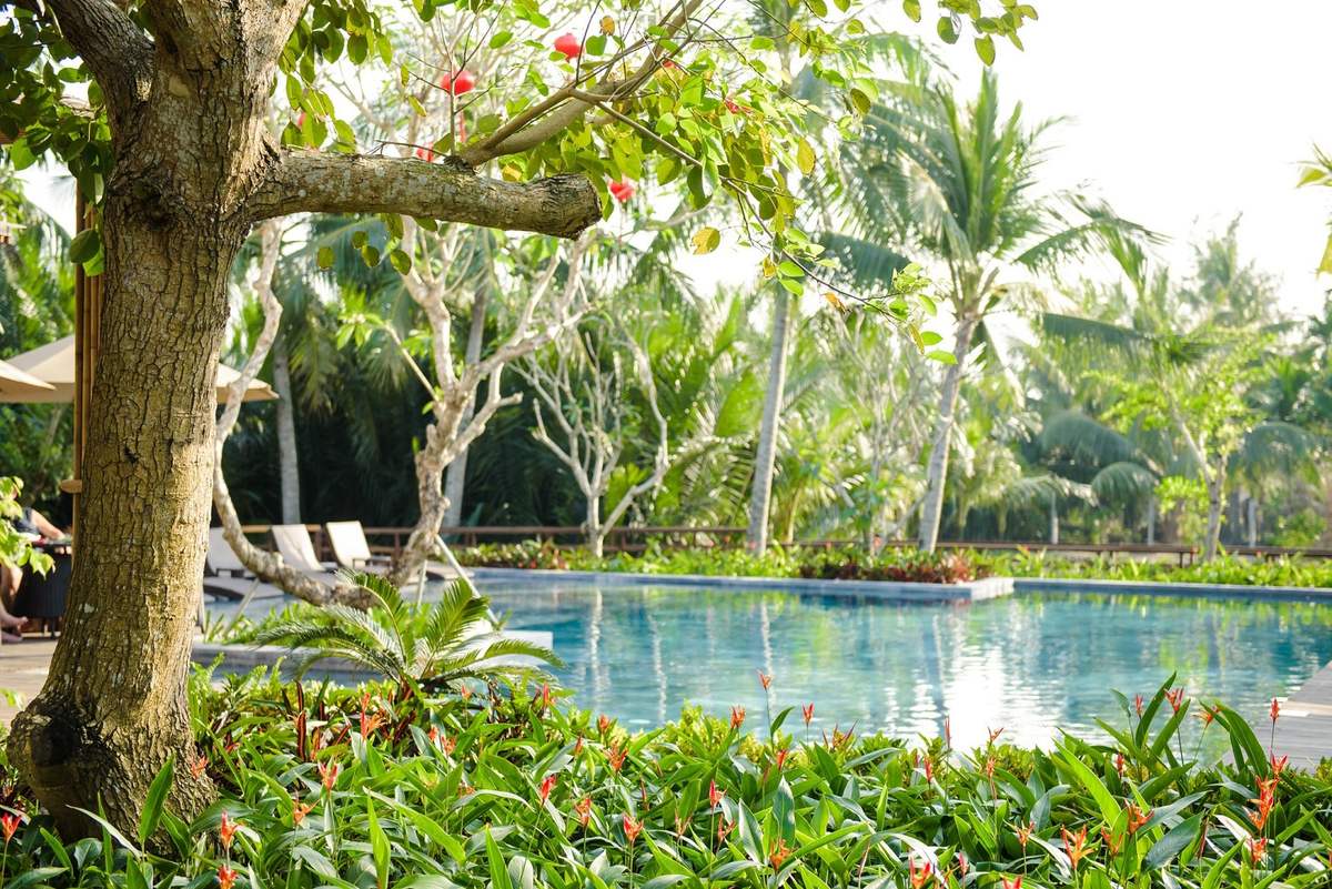 Hội An Eco Lodge & Spa – Khu nghỉ dưỡng 4 sao sang trọng tọa lạc giữa rừng dừa xanh mát 45