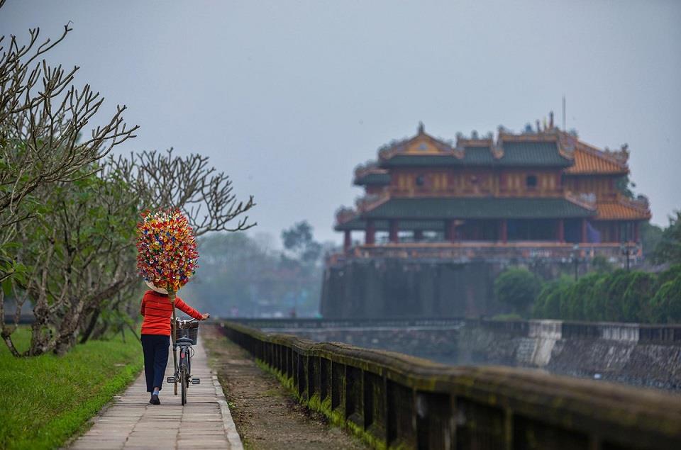 Huế Chớm Nở Sắc Xuân Trên Làng Hoa Giấy Thanh Tiên 2