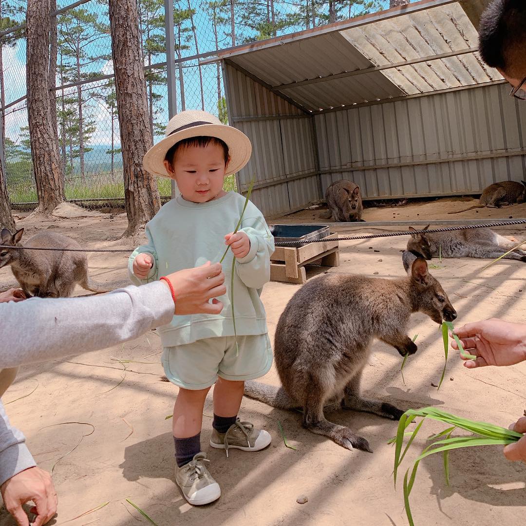 Khám phá Zoodoo Đà Lạt – Vườn thú thân thiện mang phong cách Úc cực thú vị 14