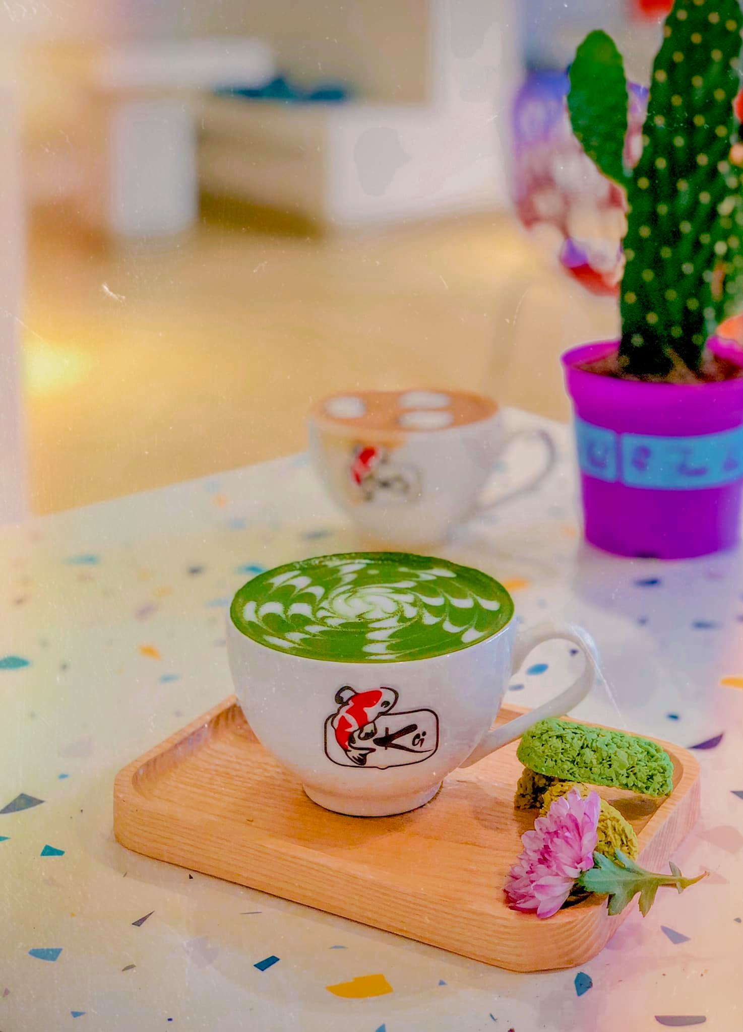 KOI café Phú Yên – Quán cà phê cá Koi đầu tiên tại Phú Yên 23