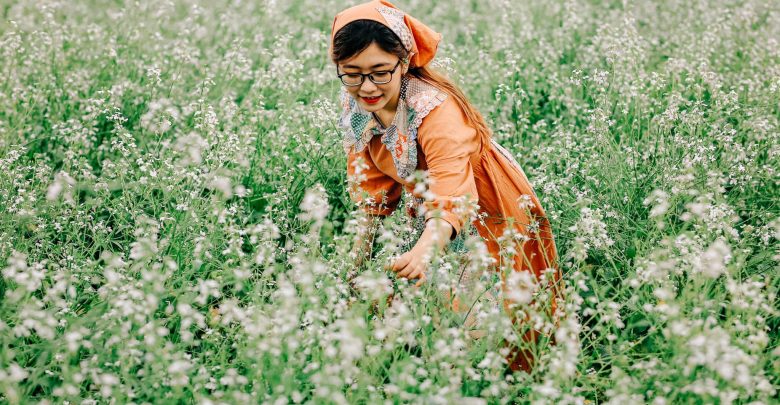 Khám phá mùa hoa cải trắng Đà Lạt nở rộ trên cao nguyên Lâm Viên 6