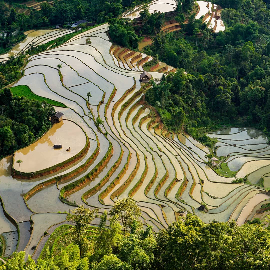 Kinh nghiệm đi Hà Giang mùa nước đổ - Khám phá vẻ đẹp khác của Hà Giang 3