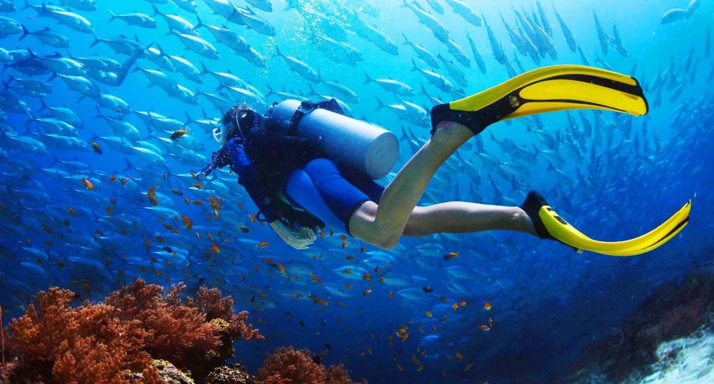 Lặn biển ngắm san hô - Khám phá vẻ đẹp ẩn mình của đại dương Phú Quốc 12