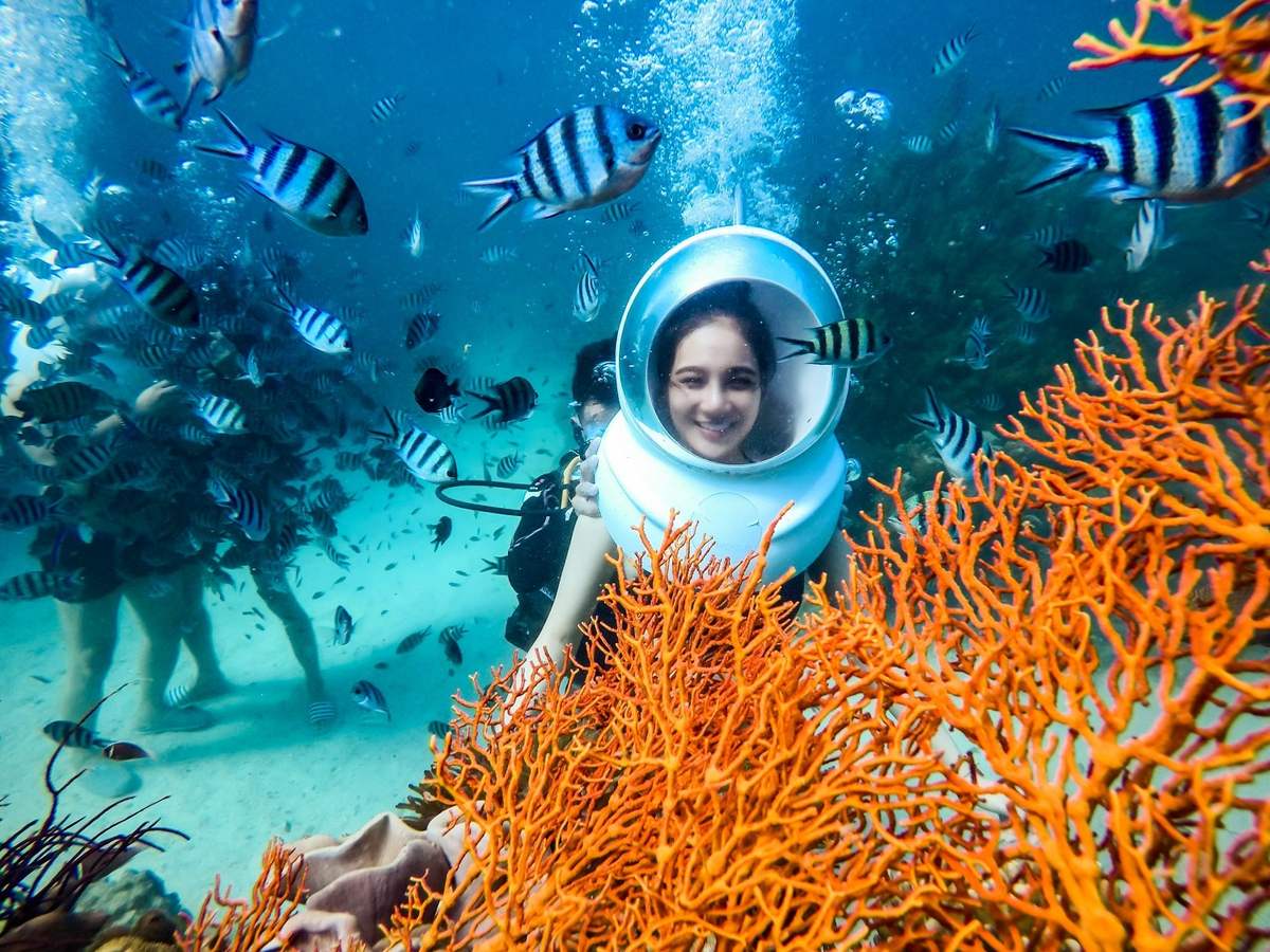 Lặn biển ngắm san hô - Khám phá vẻ đẹp ẩn mình của đại dương Phú Quốc 13