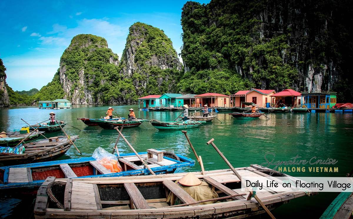 Làng chài Vung Viêng - Khám phá ngôi làng nổi tồn tại qua nhiều thế hệ 17