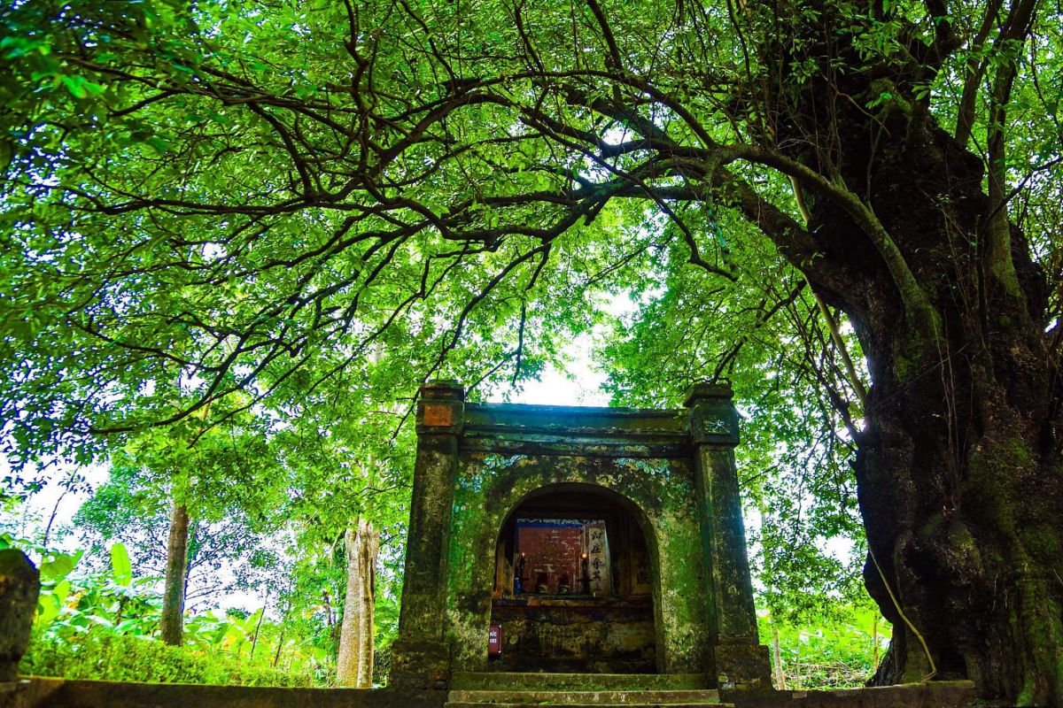 Làng cổ Phước Tích – Vẻ đẹp cổ kính hàng trăm năm tuổi của xứ Huế 30