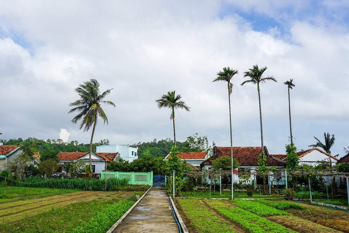 Làng rau Ngọc Lãng - Trải nghiệm đầy thú vị tại vườn rau sạch rộng lớn nhất Phú Yên 4