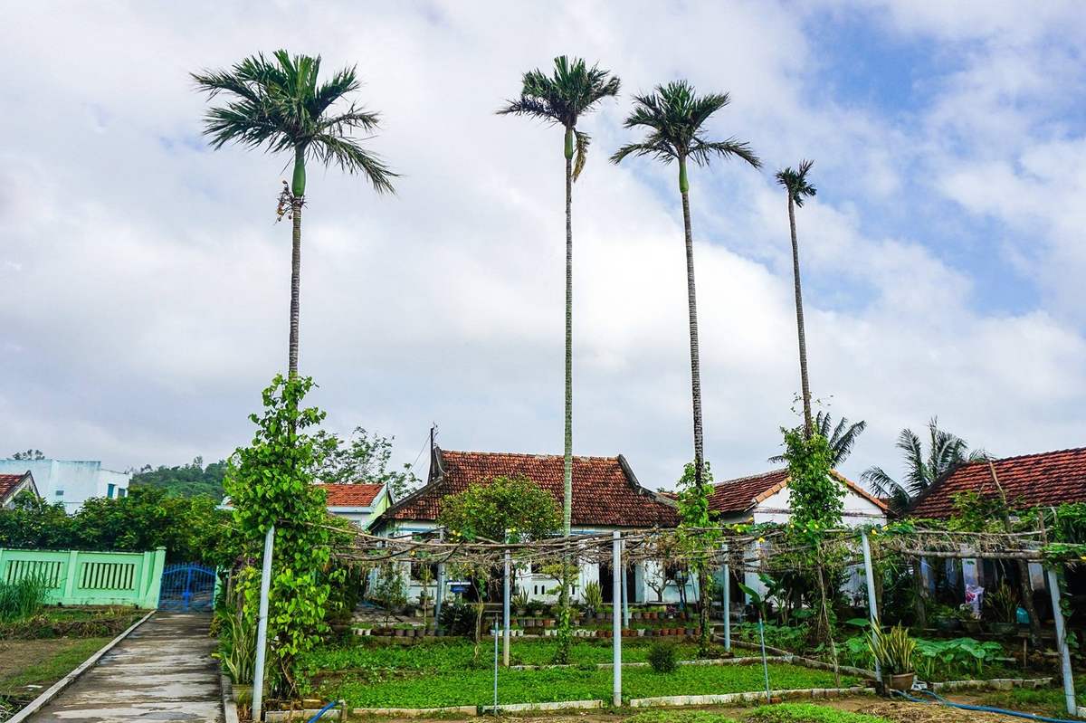 Làng rau Ngọc Lãng - Trải nghiệm đầy thú vị tại vườn rau sạch rộng lớn nhất Phú Yên 5