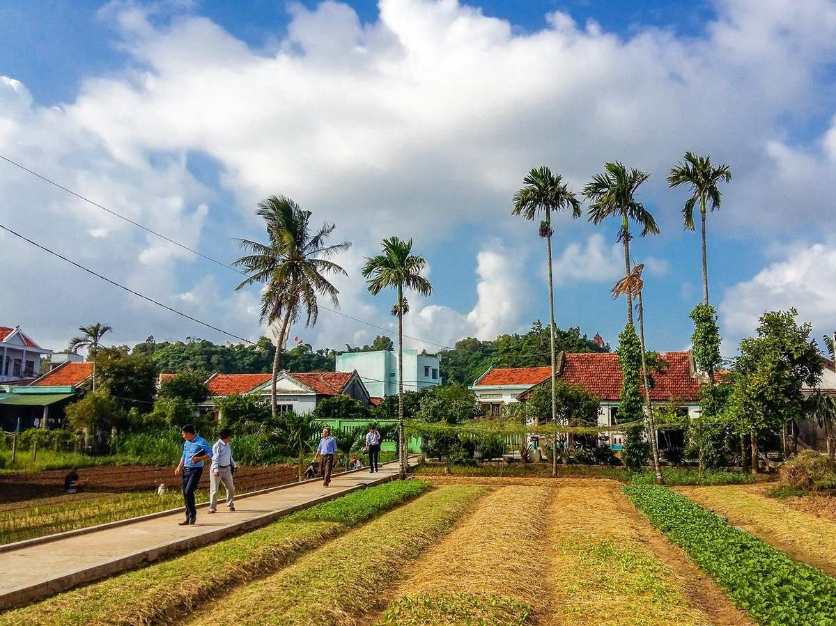 Làng rau Ngọc Lãng - Trải nghiệm đầy thú vị tại vườn rau sạch rộng lớn nhất Phú Yên 8