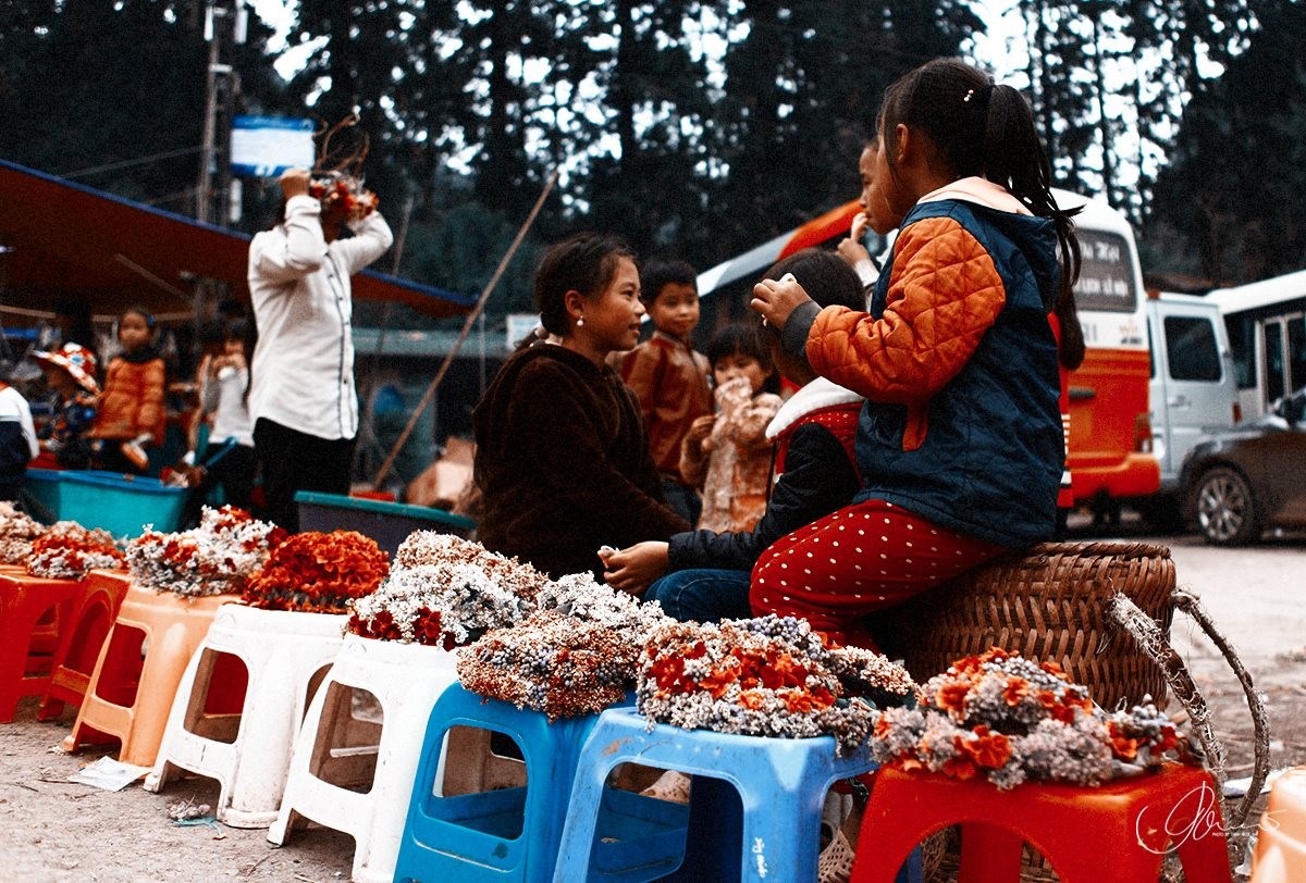 Lịch trình Hà Giang tự túc 3N2Đ - Nhẹ nhàng nhưng đầy thương nhớ 7